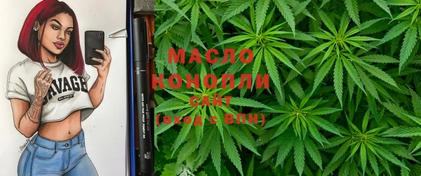 молекула духа Бронницы