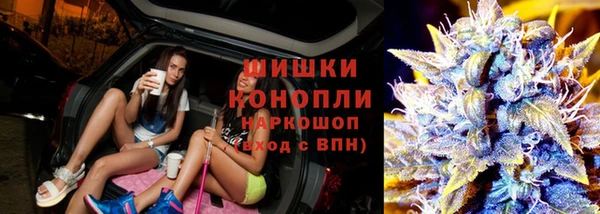 винт Бородино