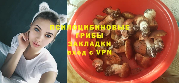 молекула духа Бронницы