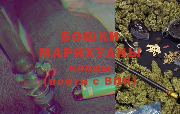 молекула духа Бронницы