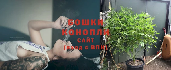 соль ск Сосновка