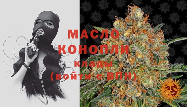 молекула духа Бронницы