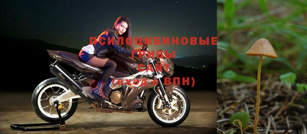 молекула духа Бронницы